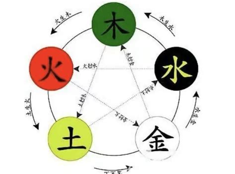 柏五行|柏字的五行是什么,柏的五行属性及吉利寓意